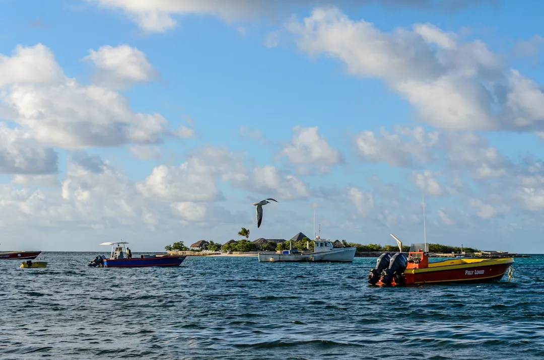 Anguilla Anguilla Business Company Formation, Anguilla – Coutts Consultants