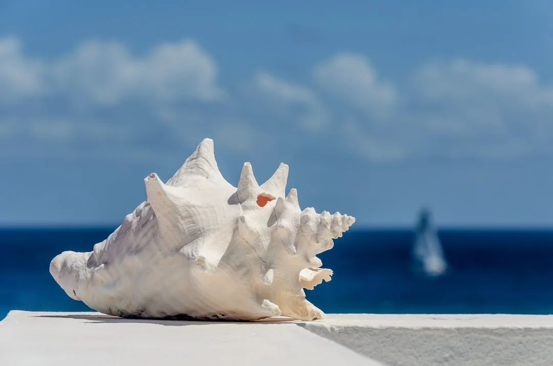 Anguilla Anguilla Holding Company & SPV Structuring, Anguilla – Coutts Consultants