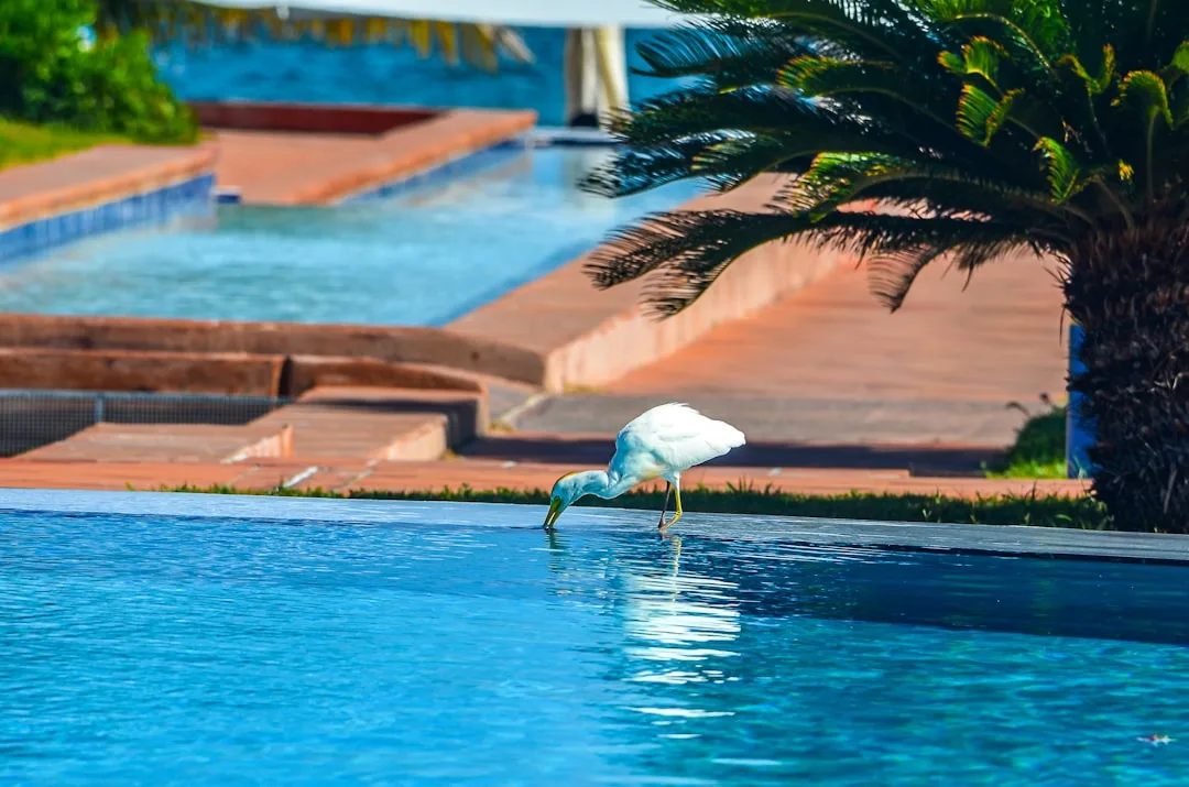 Anguilla Segregated Portfolio Company Formation, Anguilla – Coutts Consultants