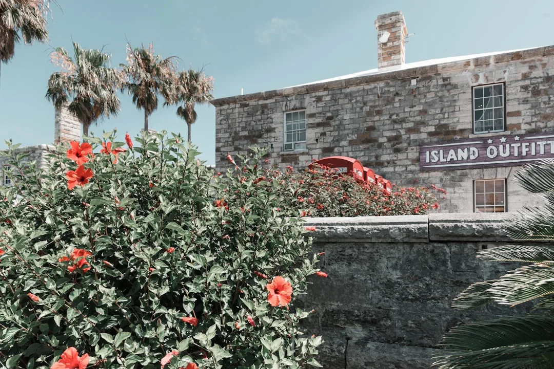 Bermuda Annual Return & Registry Compliance, Bermuda – Coutts Consultants