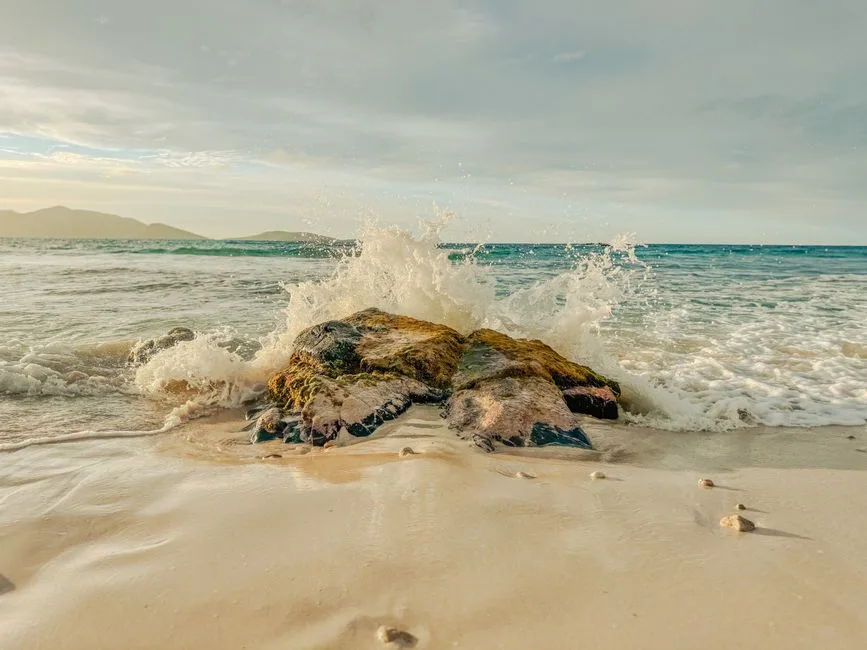 BVI Incubator & Approved Fund Formation Coordination, British Virgin Islands – Coutts Consultants