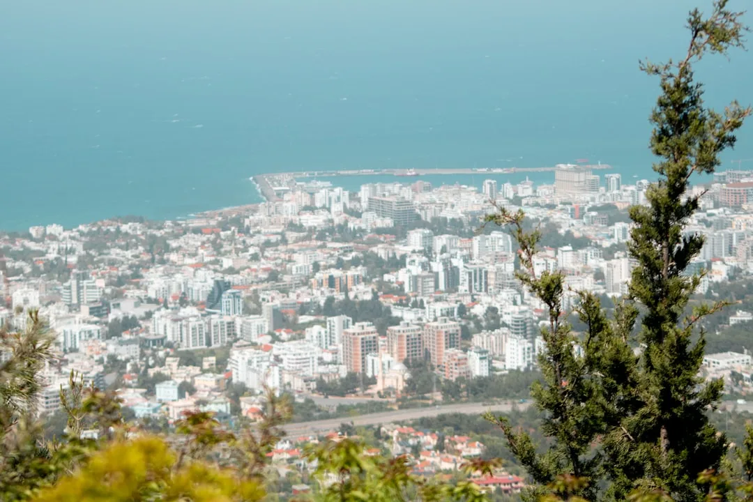 Cyprus Investment Firm (CIF) Licence Coordination, Cyprus – Coutts Consultants
