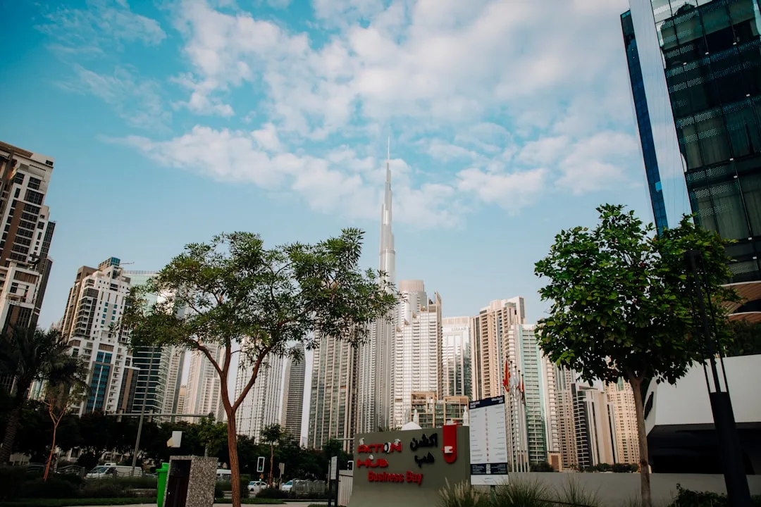 Dubai Payment Services Regulatory Coordination, United Arab Emirates – Coutts Consultants