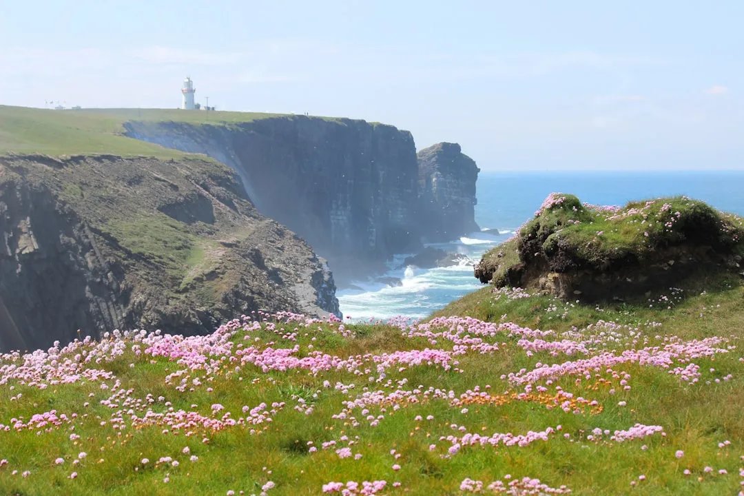 Ireland Private Company Limited by Shares Formation, Ireland – Coutts Consultants