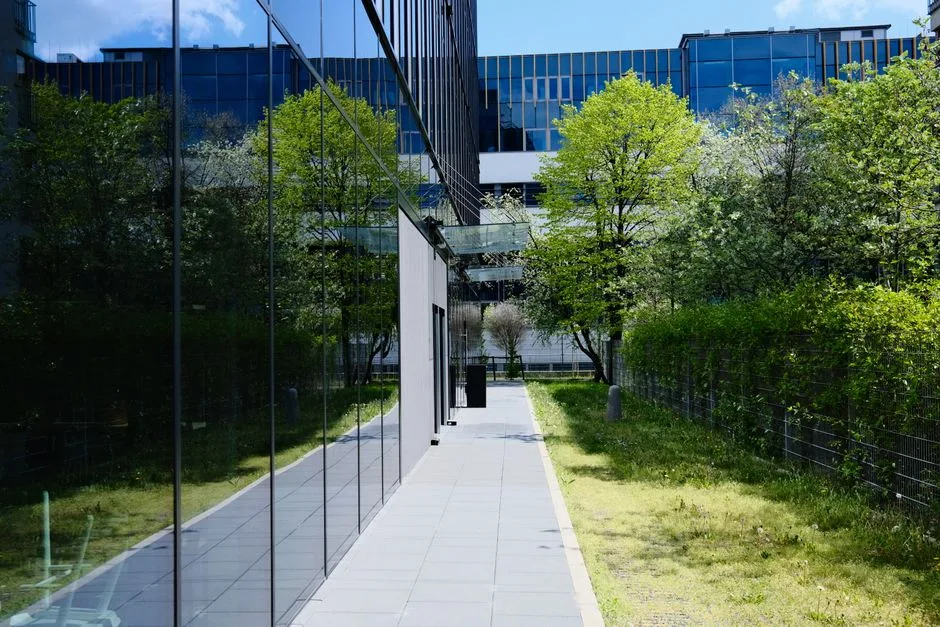 Irish Company Name Change Coordination, Ireland – Coutts Consultants