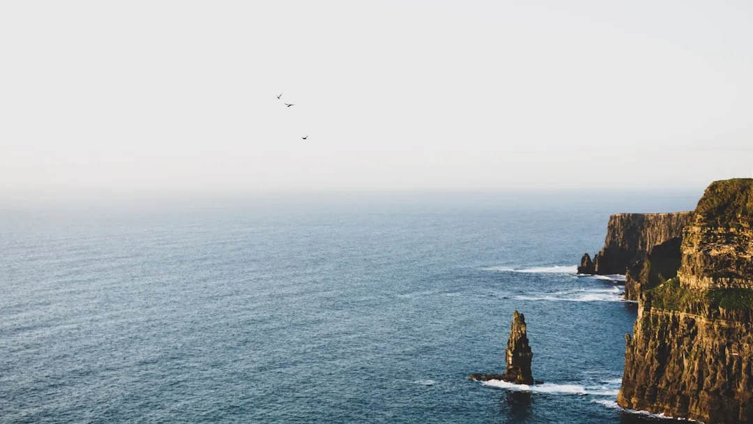 Irish Family Investment Company Structuring, Ireland – Coutts Consultants
