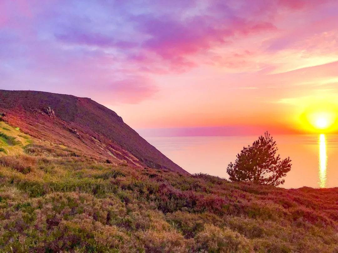 Isle of Man Collective Investment Scheme & Fund Structuring Coordination, Isle of Man – Coutts Consultants