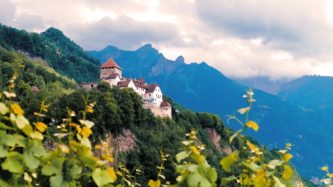 Liechtenstein AML/CFT Due Diligence Framework Review, Liechtenstein – Coutts Consultants