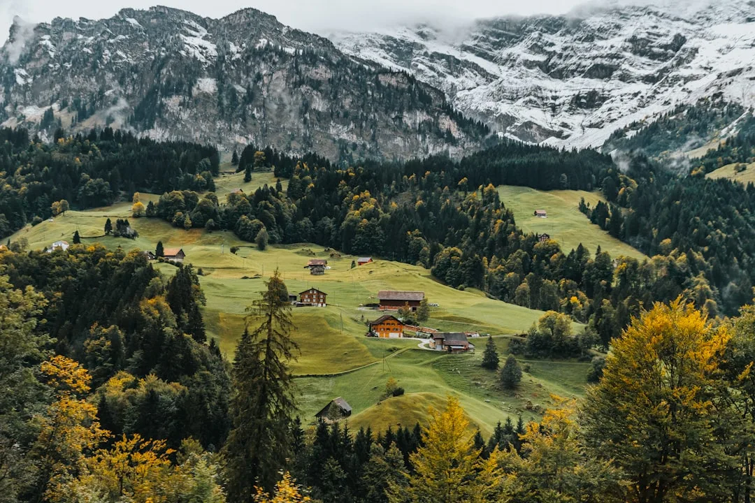 Switzerland Asset & Fund Management Regulatory Support, Switzerland – Coutts Consultants
