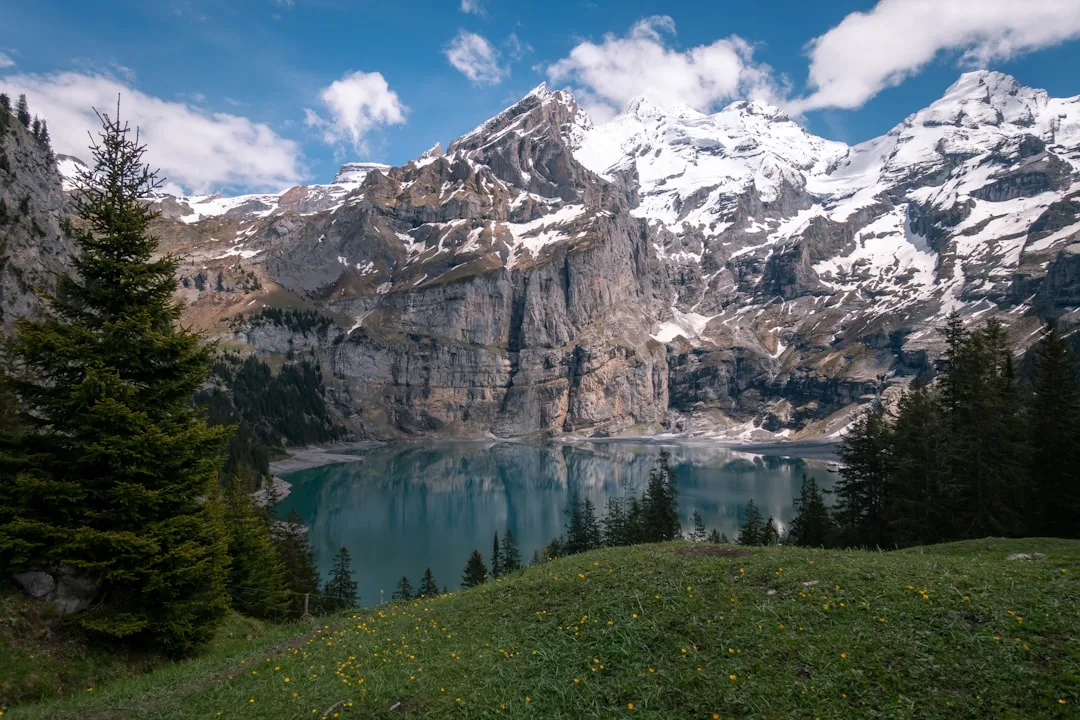Switzerland Securities Firm Licence Coordination, Switzerland – Coutts Consultants