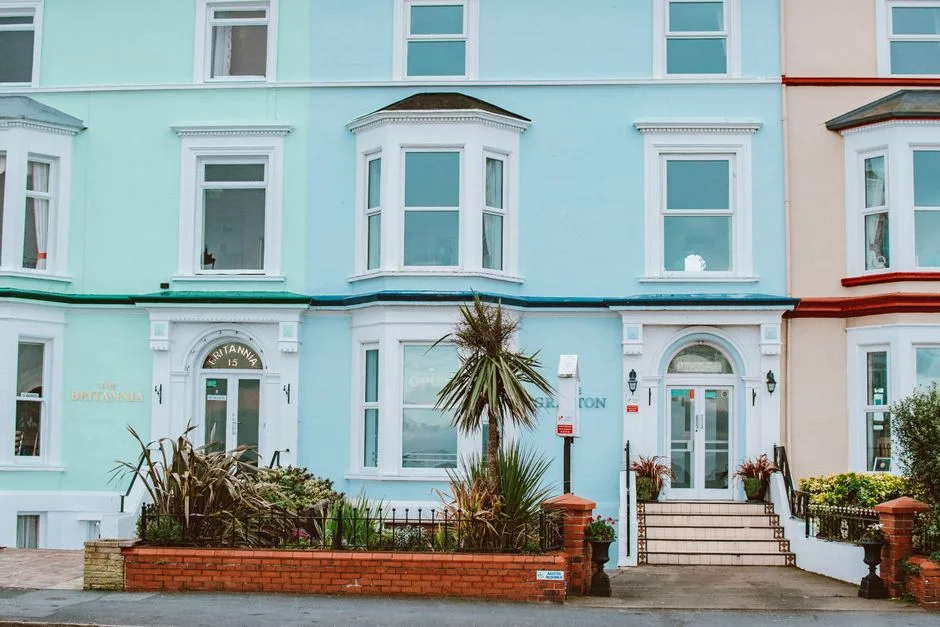 Property & Real Estate
