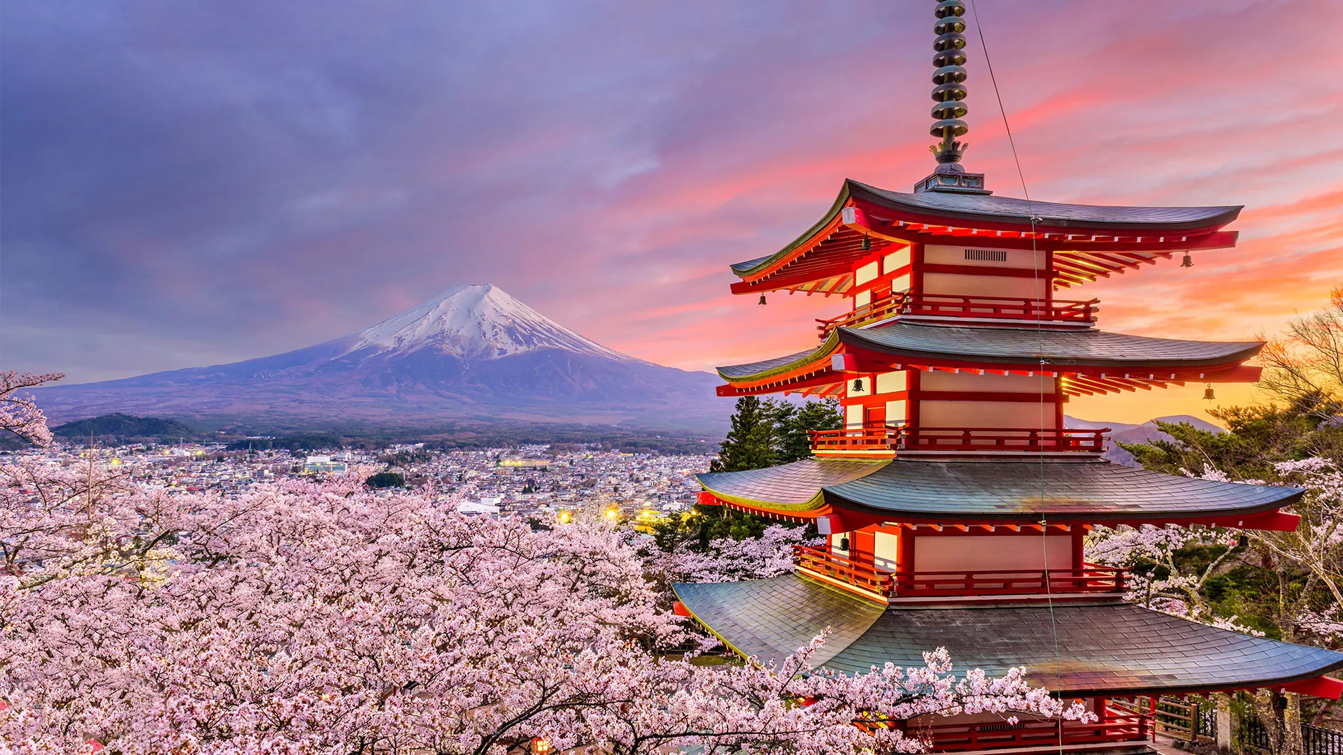 Japan Registered Design Application